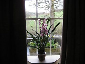 Pen Mill Hotel Yeovil Eksteriør billede